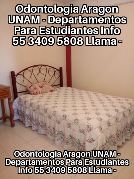 Renta para estudiantes; alojamiento para estudiantes; hospedaje estudiantes; cuartos para estudiantes; departamentos para estudiantes; habitaciones para estudiantes; recamaras para estudiantes; fes aragon; tese; tec ecatepec; uneve; universidad ecatepec; clinica odontologica aragon; odontologia unam; clinica odontologica fes aragon; odontologia iztacala; UPN 153; dormitorios para estudiantes;  upiicsa; ipn zacatenco; ipn ticoman; 