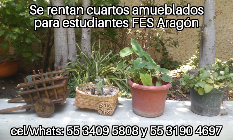 Fes aragon; nuevo ingreso cuartos estudiantes fes aragon; fes aragon nuevo ingreso; departamento estudiantes; recamara estudiantes; habitacion estudiantes; dormitorio estudiantes;