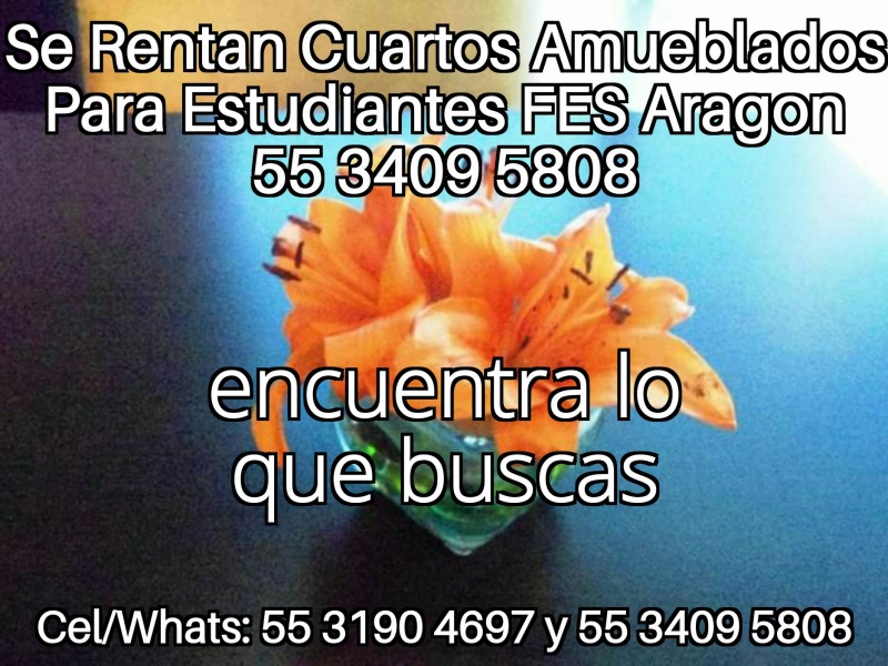 Fes aragon; cuartos estudiantes; fes aragon nuevo ingreso; departamento estudiantes; recamara estudiantes; habitacion estudiantes; dormitorio estudiantes;