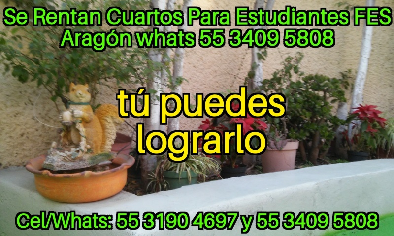 Fes aragon; nuevo ingreso cuartos estudiantes fes aragon; fes aragon nuevo ingreso; departamento estudiantes; recamara estudiantes; habitacion estudiantes; dormitorio estudiantes;