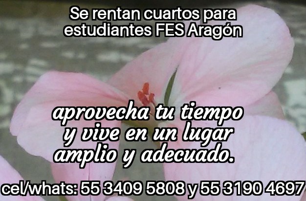 Fes aragon; nuevo ingreso cuartos estudiantes fes aragon; renta estudiantes fes aragon; renta estudiantes tese; renta estudiantes uneve; renta estudiantes upiicsa; renta estudiantes zacatenco;  fes aragon nuevo ingreso; departamento estudiantes; recamara estudiantes; habitacion estudiantes; dormitorio estudiantes;