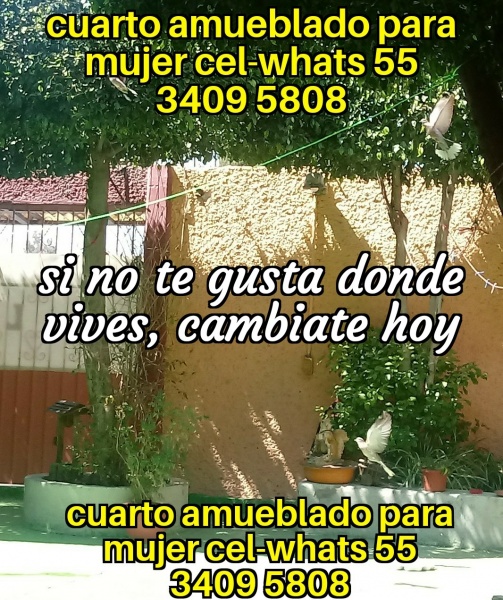 Fes aragon; nuevo ingreso cuartos estudiantes fes aragon; renta estudiantes fes aragon; renta estudiantes tese; renta estudiantes uneve; renta estudiantes upiicsa; renta estudiantes zacatenco;  fes aragon nuevo ingreso; departamento estudiantes; recamara estudiantes; habitacion estudiantes; dormitorio estudiantes;